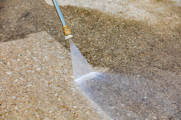 Animal Enclosure Cleaning in Mayfield, PA